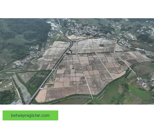 Betway官网入口分析及其优势详解 让您轻松体验全球博彩平台